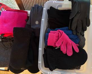 Ladies Winter Accessories 