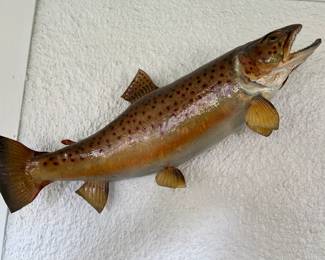 Brown Trout Wall Mount. 