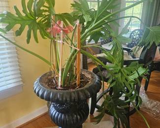 there are 2 of these. Bring help for moving. Thanks