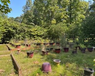 Planters
