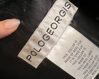 POLOGEORGIS