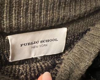 public school
