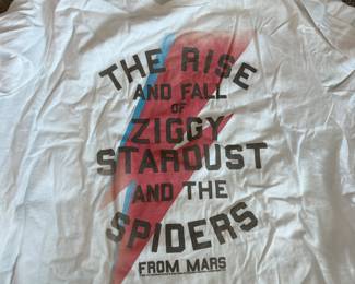 The rise in the fall of Ziggy, STAROUST, and the spiders