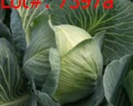 7397a result