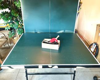Butterfly - Team Rollaway Ping Pong Table