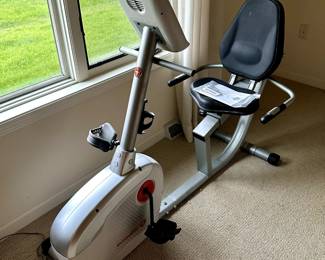 Schwinn Recumbent Bike