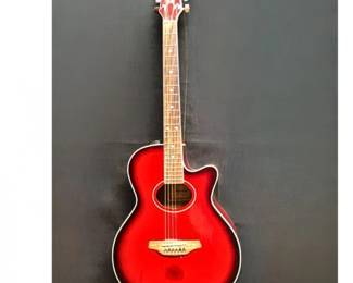 20 TennesseeGewaNB300TWRAcousticGuitar