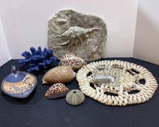 Shell decor