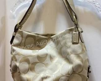 Coach (not authenticated)