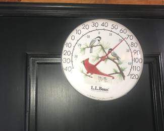 Items Located In The Garage