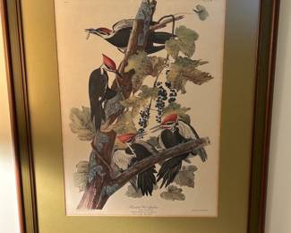 Framed Woodpecker Artwork