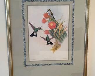 Framed Hummingbird Artwork