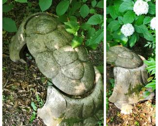 Turtle back seat.