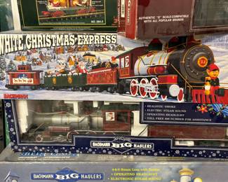 Bachmann trains