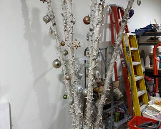 Large potted tree