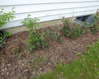 See prices & more info, copy & paste link below:
https://beforeudemo.com/sales-event/naperville-2-house-demolition-sale/