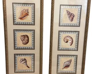 Kirklands Framed Sea Shell Wall Art