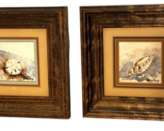 Framed Vintage Sea Shells Wall Decor