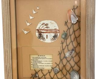 Framed Sand Dollar