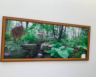 framed photography