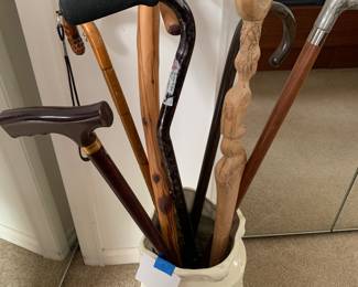 walking sticks and canes