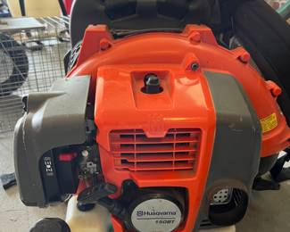Gas Back Pack Blower