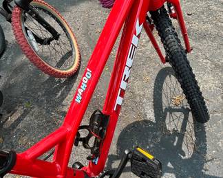 Kids Trek Bike new red