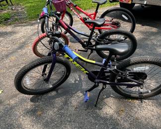 youth adult trek bikes
