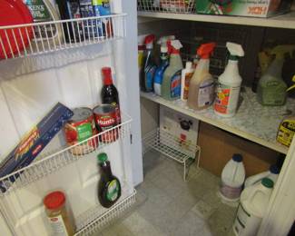 pantry with cleaning items