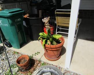more potted plants