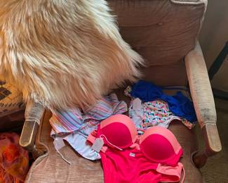 Bathing Suits