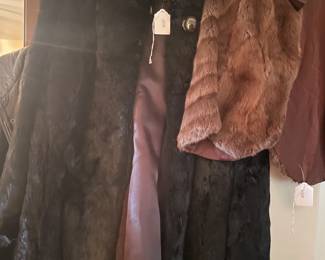 Women's Clothing
