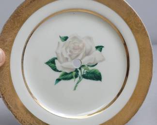 Embassy USA Vitrified China Dinner Set