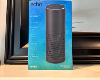 K82 - $25 - Amazon Echo