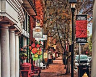 Local Davidson Art