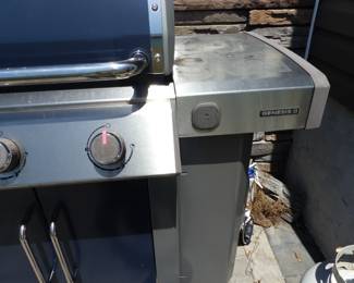 Weber gas BBQ