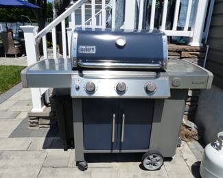 Weber gas BBQ