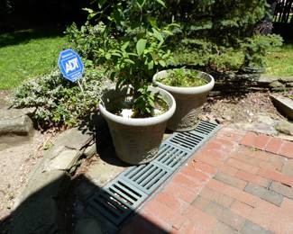 Planters