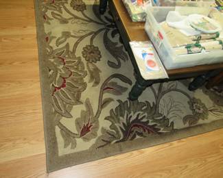 8' x 10' rug