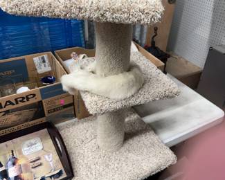 Cat Scratching Post