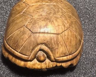 Box Turtles are amazing...