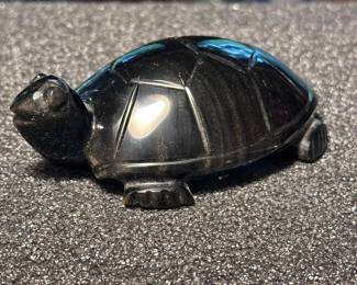 Heavy onxy turtle