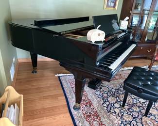 Hamon 1908 Grand piano - Pre Sale available
