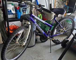 Pacific Bicycle