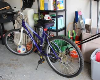 Chromium Pacific Mountain Bike