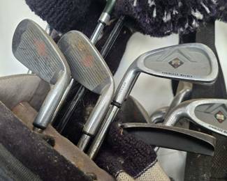 Stainless Golf Clubs