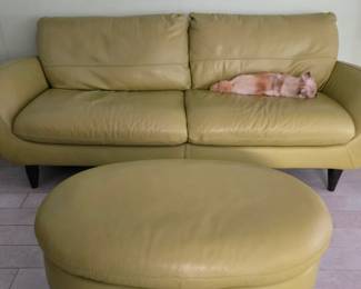 Leather sofa + ottoman. Make your offer day of sale!