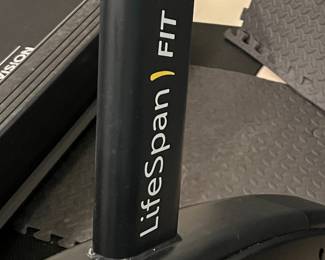 Lifespan Fit bike (needs a new seat) $100