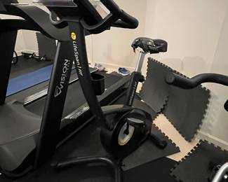 Lifespan Fit bike (needs a new seat) $100