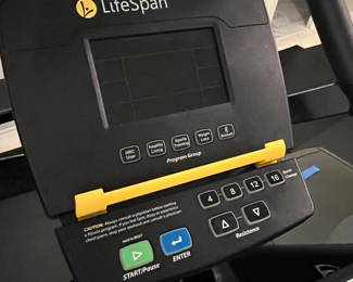 Lifespan Fit bike (needs a new seat) $100